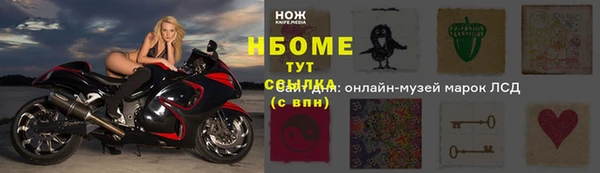 гидра Карпинск