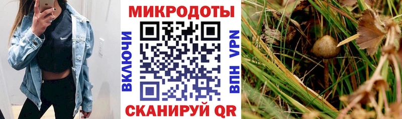 купить наркотики цена  Голицыно  Псилоцибиновые грибы мухоморы 